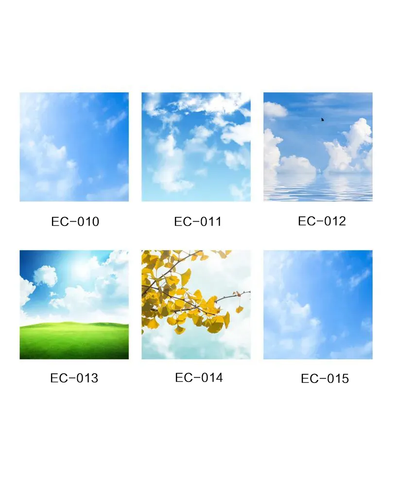 Liftplafond EC-010~015