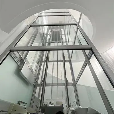 Traction Gantry Frame Type Home Villa Elevator