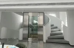 Traction Gantry Frame Type Home Villa Elevator