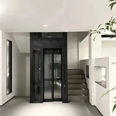 Traction Gantry Frame Type Home Villa Elevator