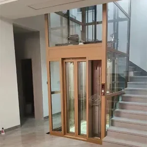 Traction Gantry Frame Type Home Villa Elevator