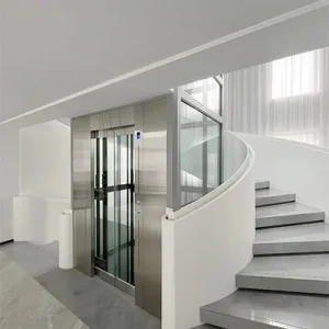 Traction Gantry Frame Type Home Villa Elevator